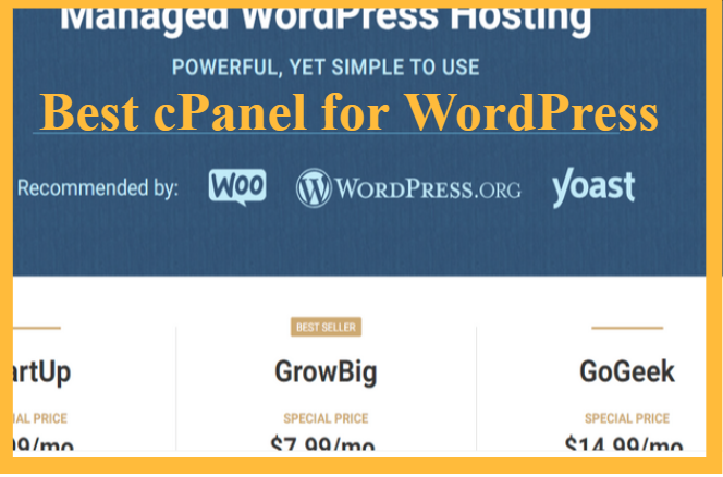 Best cPanel for WordPress